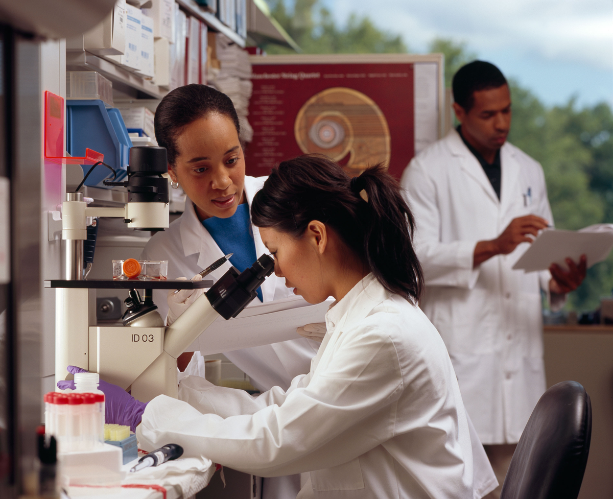 Pesquisadoras trabalham com microscópio em laboratório.