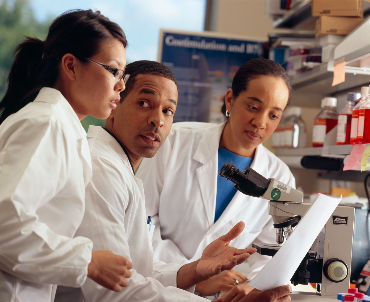 Três pesquisadores analisam documentos em laboratório.